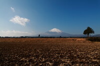 富士山２０１７正月