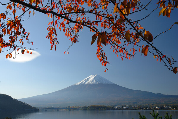 11/14の富士山