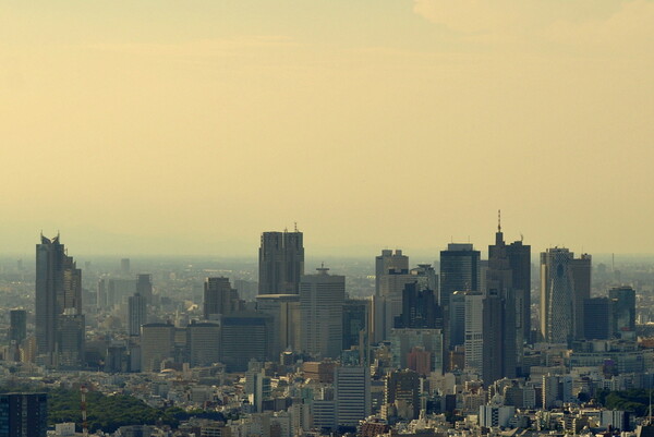 新宿高層ビル遠景