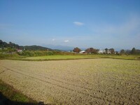 駐車場から見えた山と水田の景色