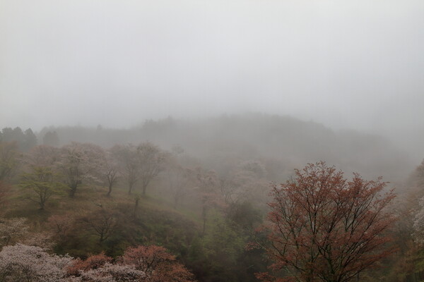 霧の吉野山