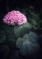 静けさ