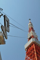 東京タワーのワイヤー