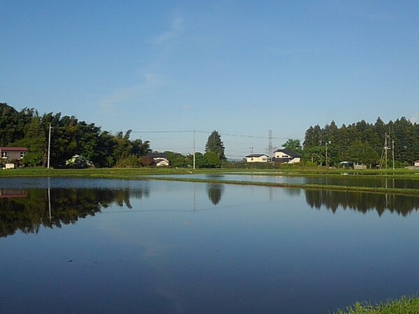 空の色を吸い込んだ水田