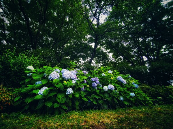 集合写真
