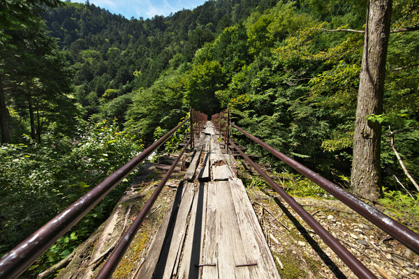 森林鉄道跡2