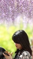 当世写真コミュニケーション事情