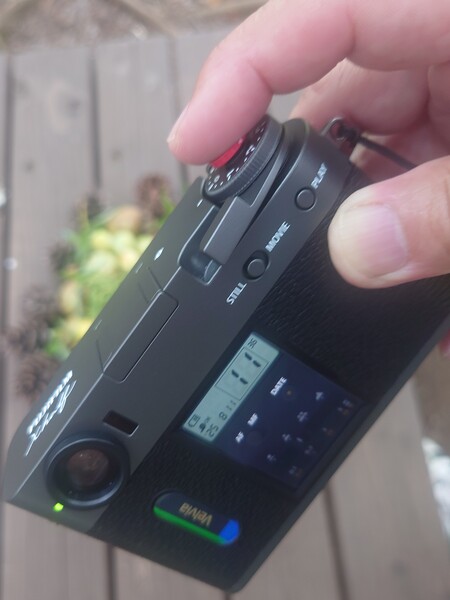 X-halfって４