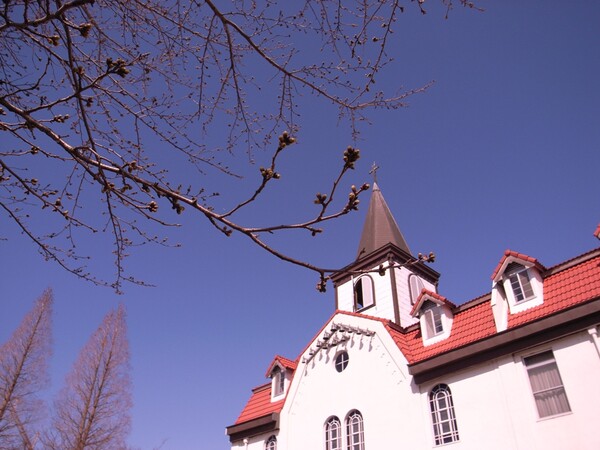 【春】修道院の桜はマダマダ