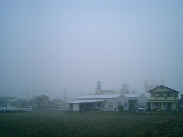 朝霧