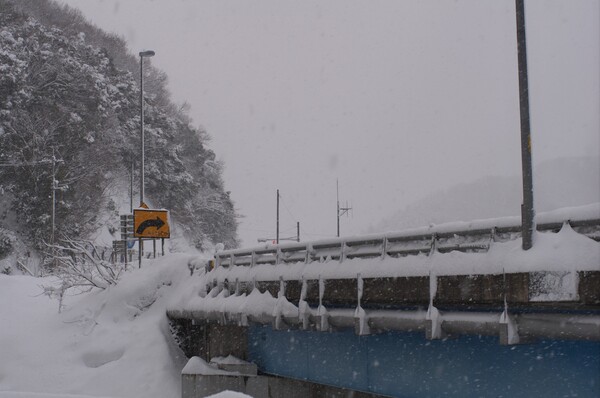 【わびさび】大雪の中で・・