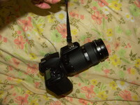 最近買ったカメラ