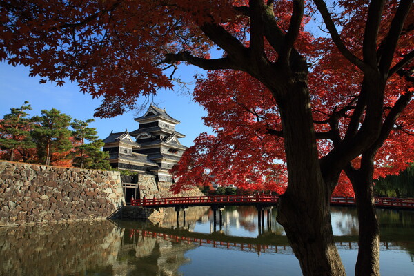 松本城と秋の西日