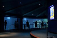 ディズニー・シーの水族館