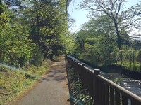 用水路沿いの歩道