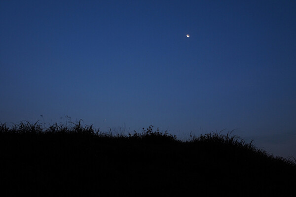 土手上の細月と明けの明星