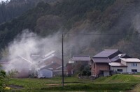 田舎の秋!