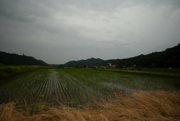 雨がパラパラ!