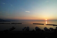 【温】港に朝陽