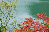 湖畔の秋模様