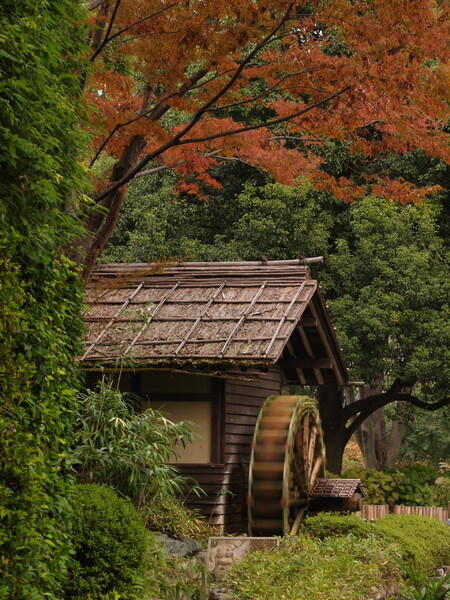 森の水車小屋