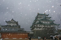 雪降る名古屋城