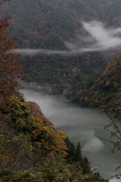  【幕間】Fog of the riverⅡ 