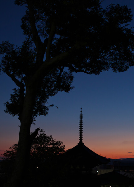 興福寺南円堂からの眺望