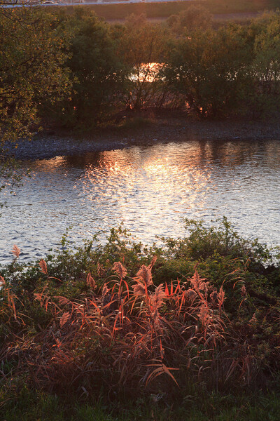 河原の晩秋