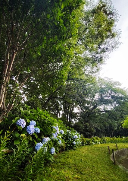 公園にて