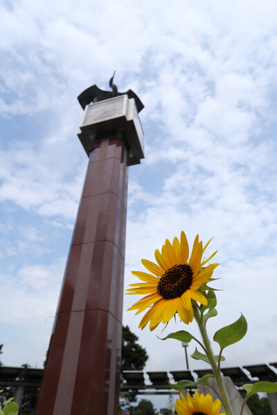 来年は負けないぞ！