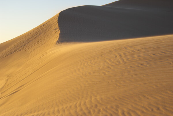 Wind of Dunes #4
