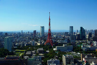 東京タワーの見える風景