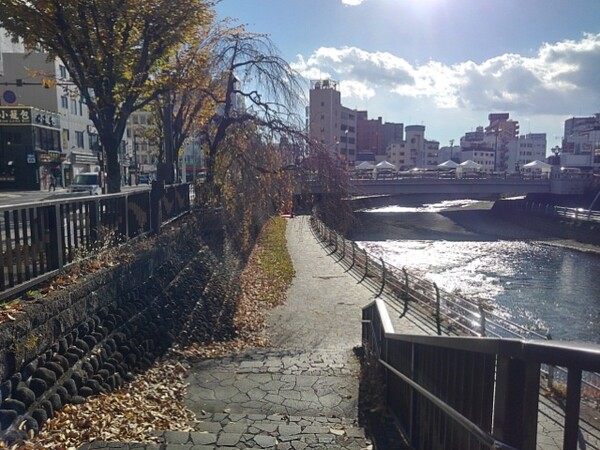 宇都宮の川沿いの道の景色