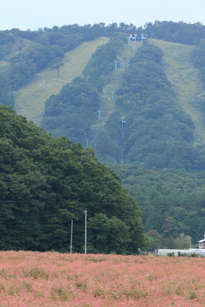 【天】国から地獄～急降下スキー場