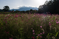 高原の秋