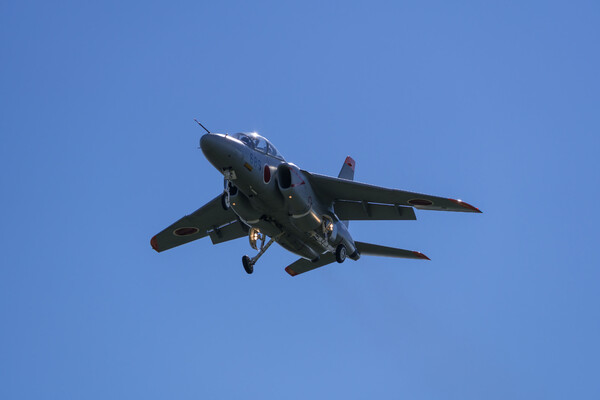 手を振ってくれた！