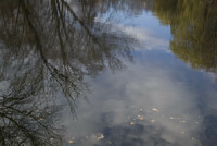 Sky in water