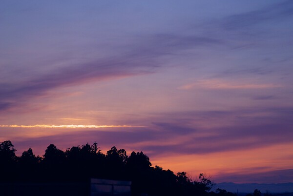 今日の夕日