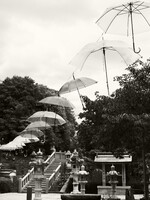 L.M.Floating Umbrella
