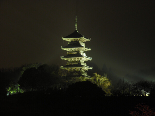 霧雨の五重塔