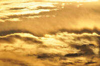 金色の雲