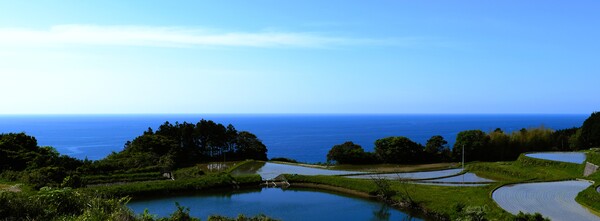 海