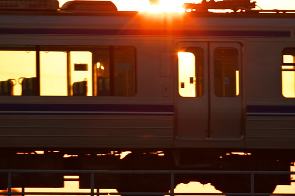 「逆光」夕日を浴びる