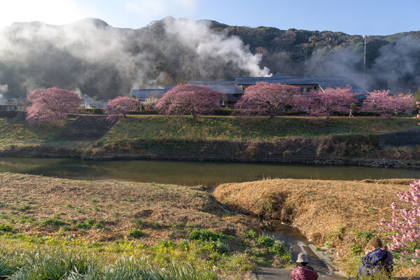 下加茂温泉