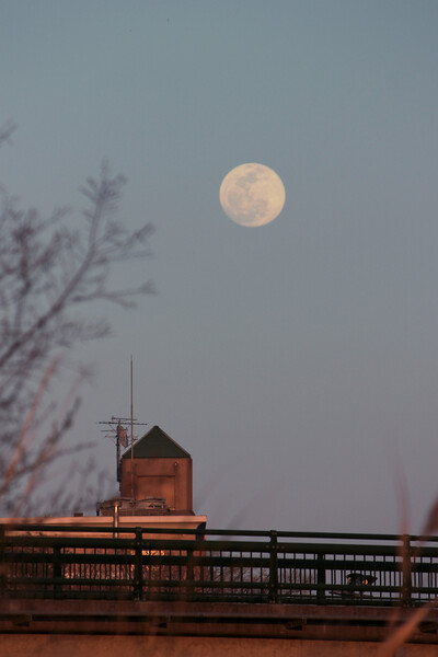 淀川原の夕月
