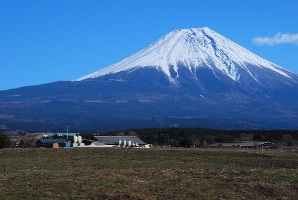 富士山と牧場