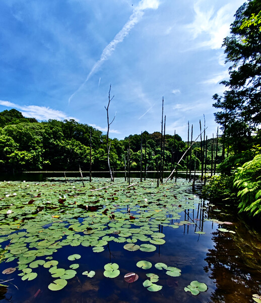 アンダー気味に