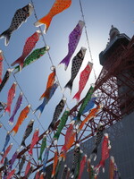 こいのぼりと東京タワー