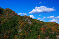 岩山の紅葉、青い空、白い雲